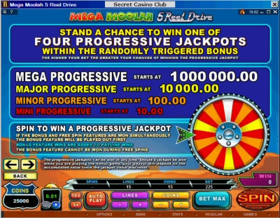 5 Reel Drive Mega Moolah Progressive Slot Machine Paytable