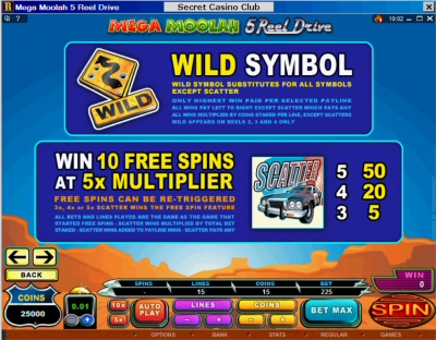 5 Reel Drive Mega Moolah Wild and Free Spin Paytable