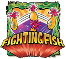 Fighting Fish