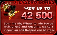 Bonus 5: Casino Bonus